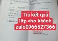 Lý lịch tư pháp mẫu mới nhất 2025